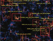 Decision Sciences and Engineering Systems